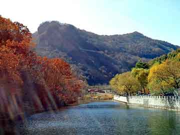 管家婆黑白马报图库，日喀则物流